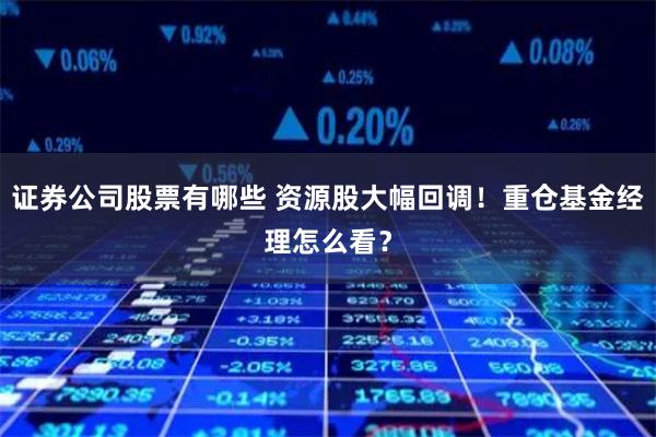 证券公司股票有哪些 资源股大幅回调!重仓基金经理怎么看?
